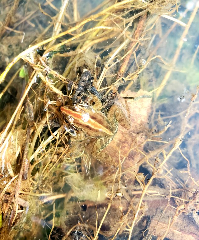 20220821_080334.jpg