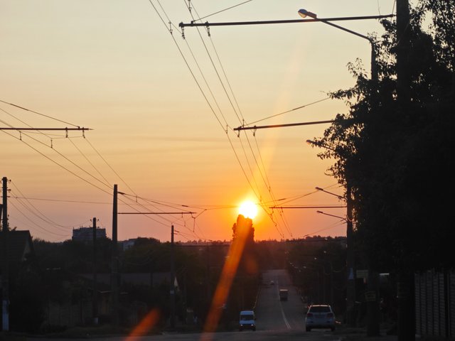 1000083087.jpg