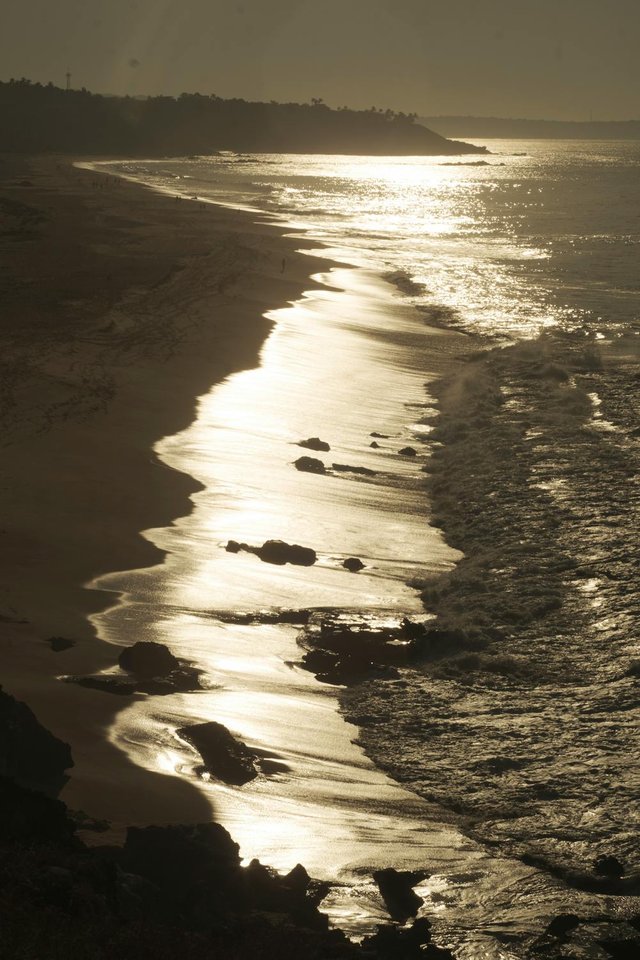 free-photo-of-beach-on-sea-shore-at-sunset.jpeg