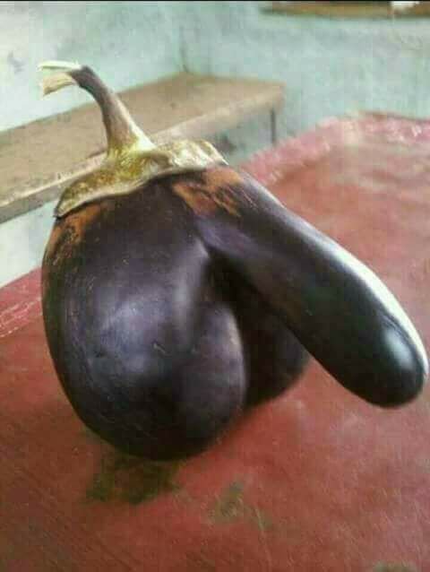 amazing-eggplant.jpg