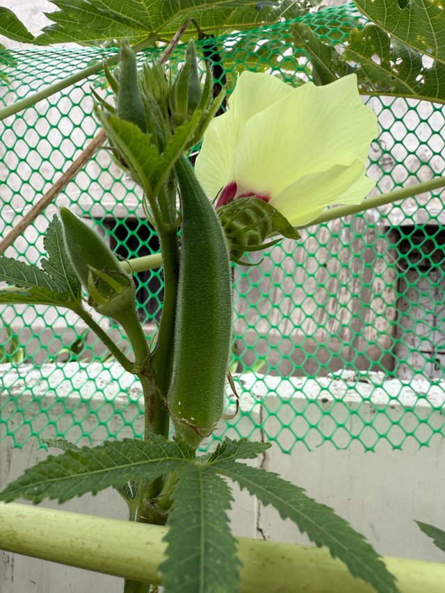 img_2543 (1).jpg