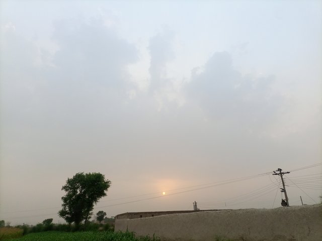 IMG_20250623_183718_513.jpg