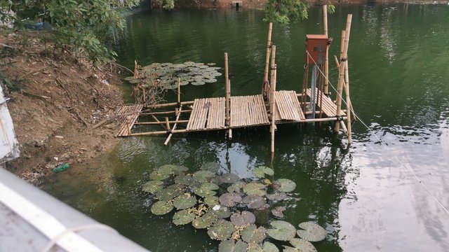 IMG_20240608_162244.jpg