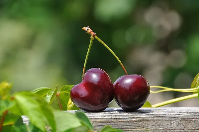 cherry-pair-fruits-sweet-162689.webp