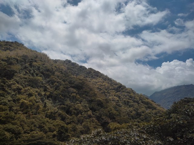 IMG_20250517_114830.jpg