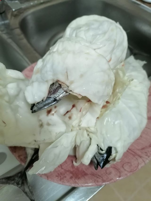 WhatsApp Image 2020-08-10 at 23.02.11 (1).jpeg