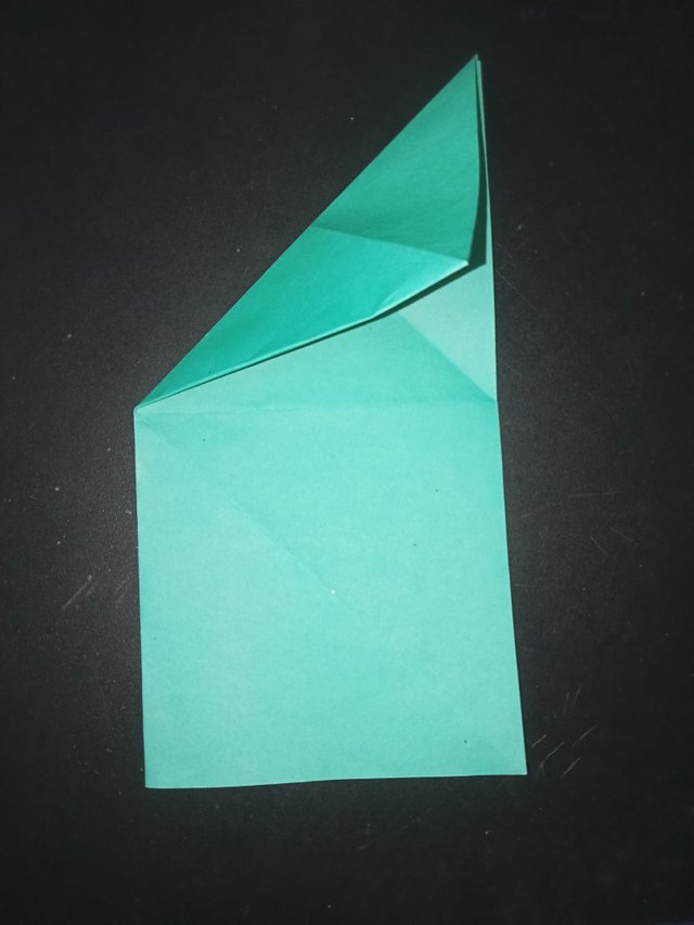 1000029779.jpg