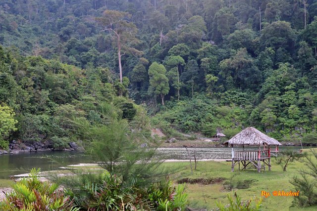 Gubuk dan Hutan (5).JPG