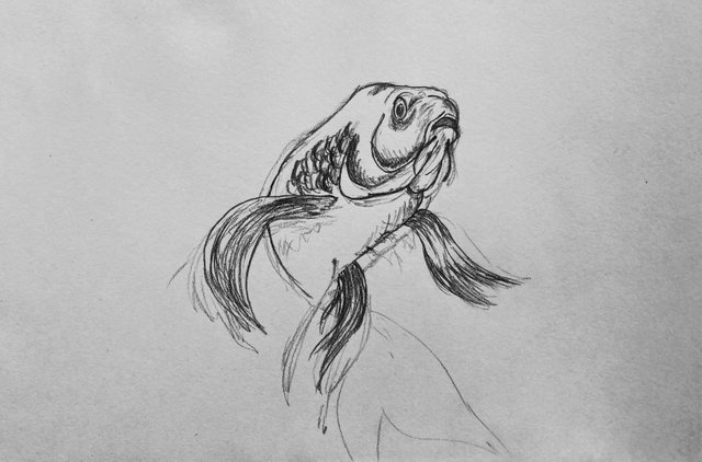 IMG_4692.jpeg