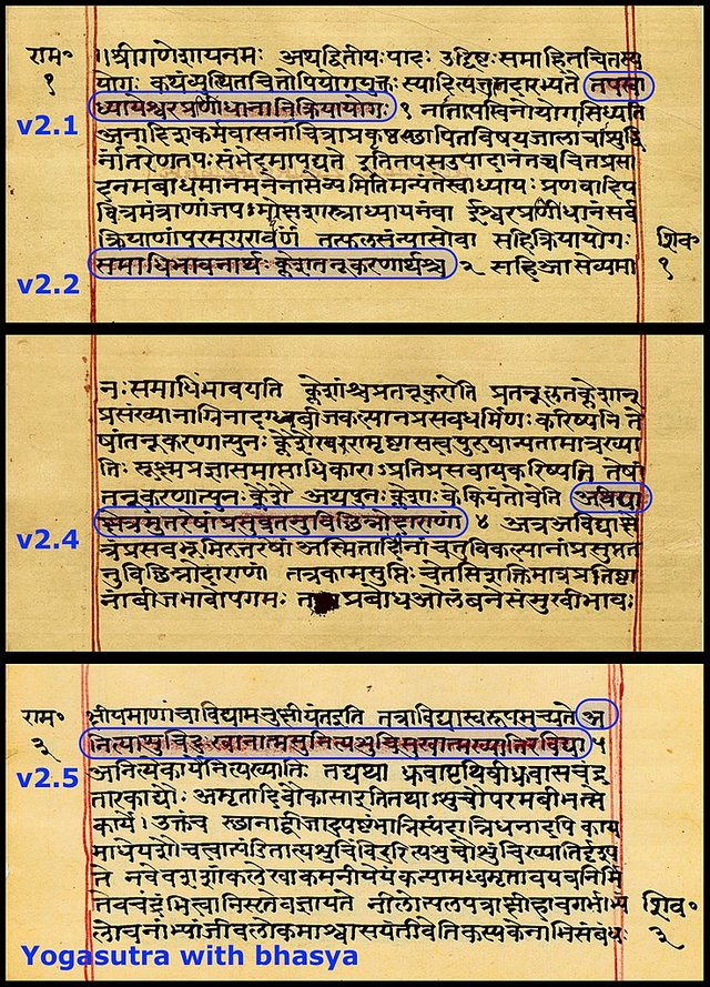 737px-Yogasutra_with_Patanjali's_bhasya,_Sanskrit,_Devanagari_script,_random_sample_pages_f1v_f2r_f3v.jpg