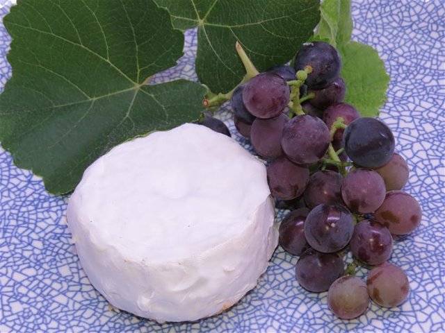 Goshna Camembert 114.JPG