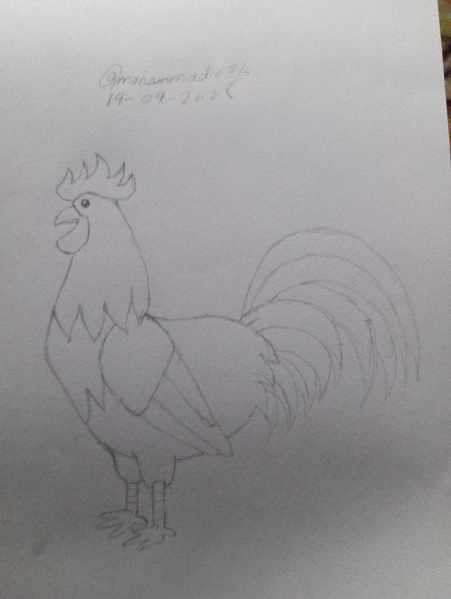 1000106145.jpg