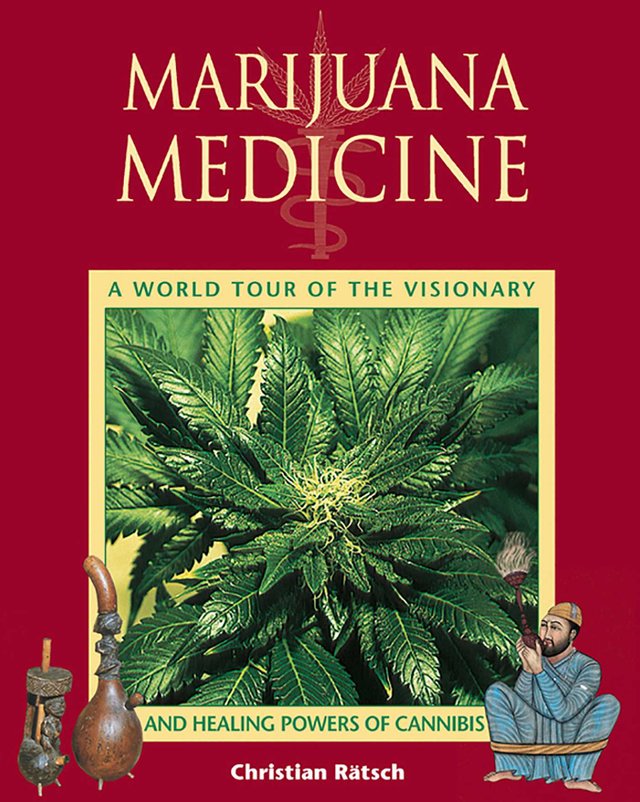 marijuana-medicine-9781594776595_hr.jpg