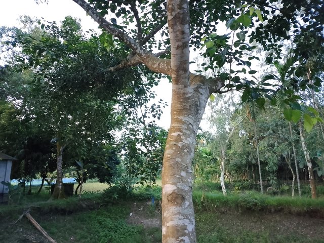 1000042937.jpg
