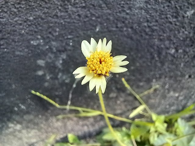 20251015_082032.jpg