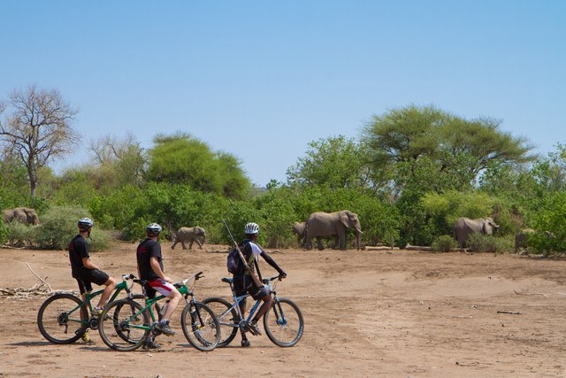mashatu-game-reserve-botswana-safari-biking.jpg