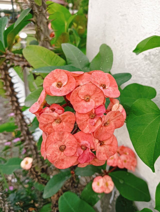 IMG20250322170235.jpg