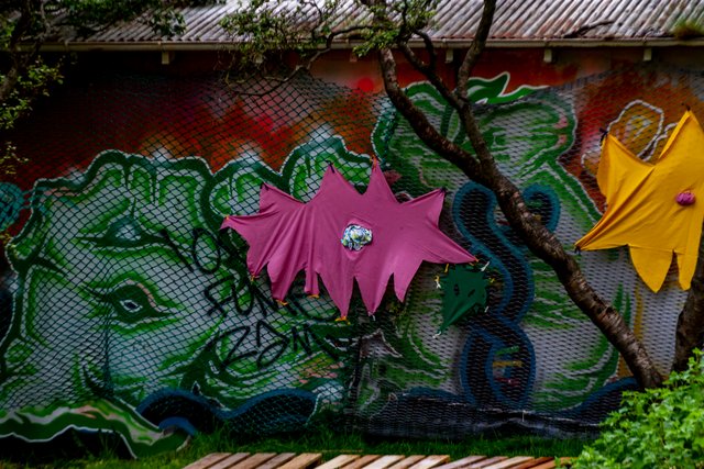 2021_07_09__009083.jpg