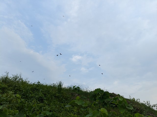 1000045051.jpg