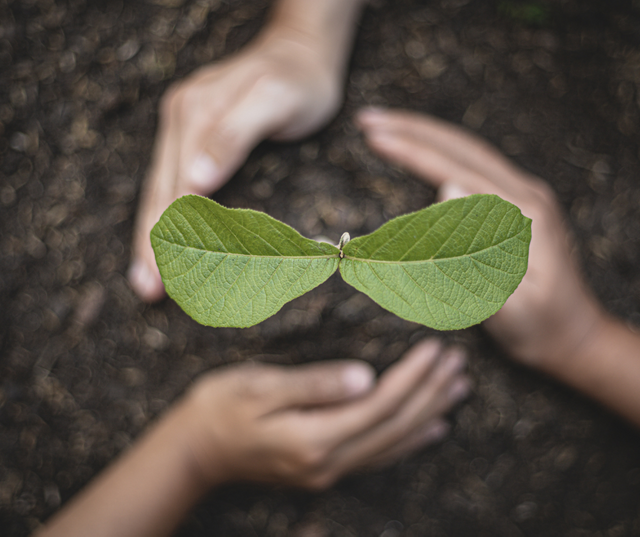 Green Simple Earth Day Tree Planting Facebook Post.png