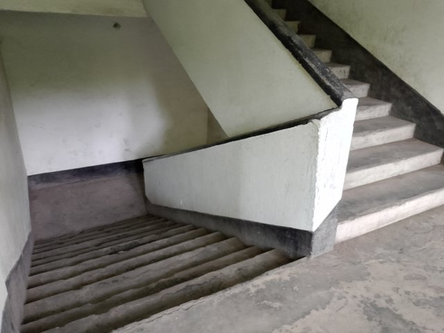 1000042154.jpg