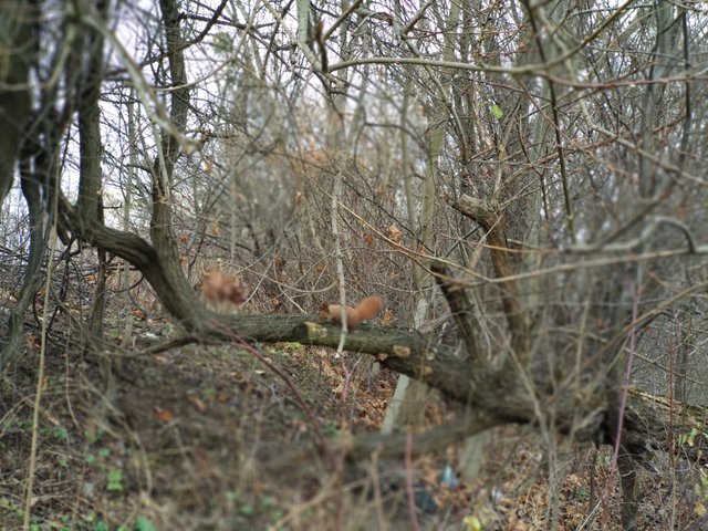 IMG_20191201_130234.jpg