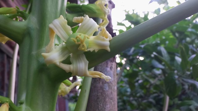 20250615_183351.jpg
