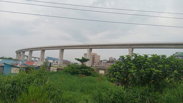 1000061254.jpg