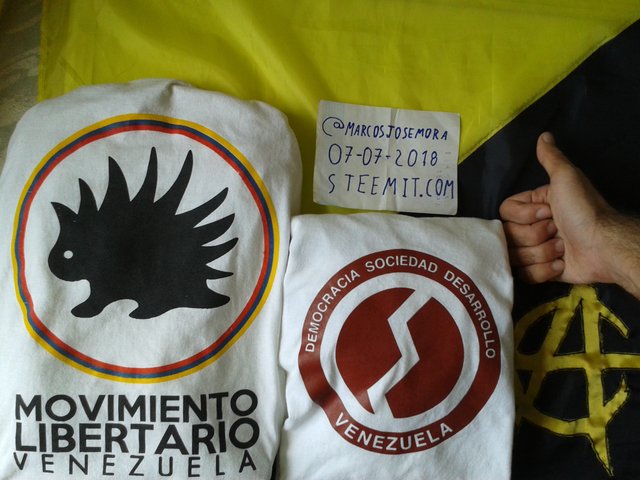 2018.07.07 Bandera anarcocapitalista, Movimiento Libertario y DSD Venezuela - foto de portada - version 3.jpg