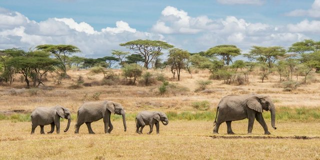 The picturesque vibe of Okavango Delta.jpg