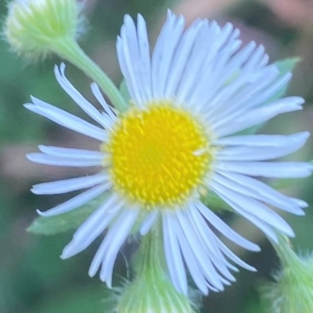 IMG_4514.jpeg