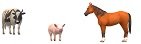 horse pig cow credit.jpg