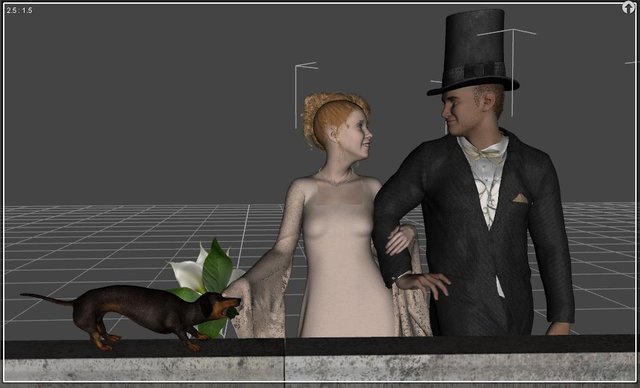 Special Day - Petface Wedding Render - 3.JPG