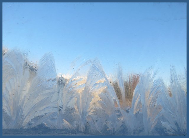 jack frost artistry on the window pane.JPG