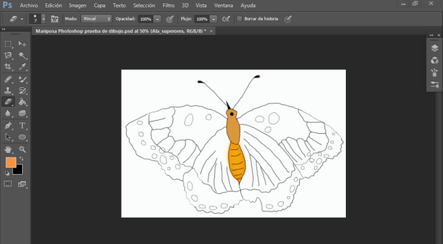 Captura pantalla completa dibujo mariposa coloreo1 photoshop.PNG