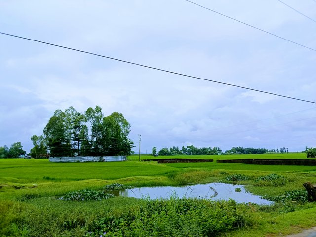 IMG_20250922_101106.jpg