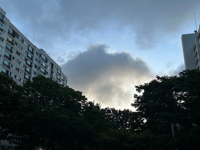 IMG_0373.jpeg
