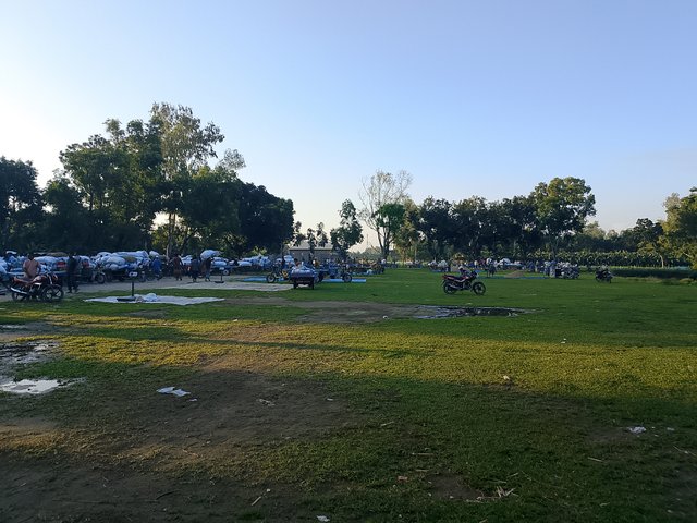 1000047892.jpg