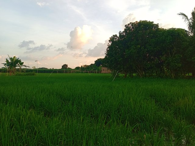 IMG_20250911_110111.jpg