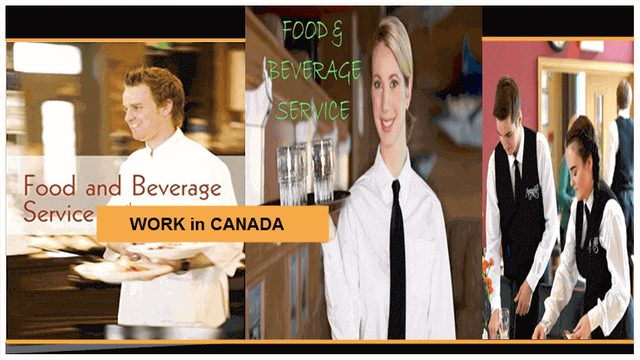 Job search At Canada, Server Food And Beverage Services.PNG