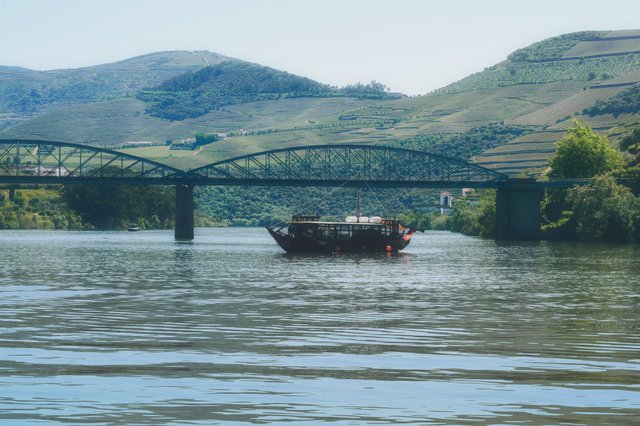 DSC_0682_2.jpg