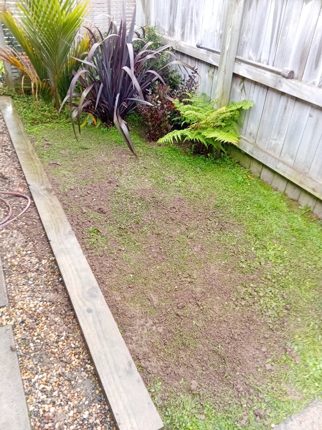 20250519_112549.jpg