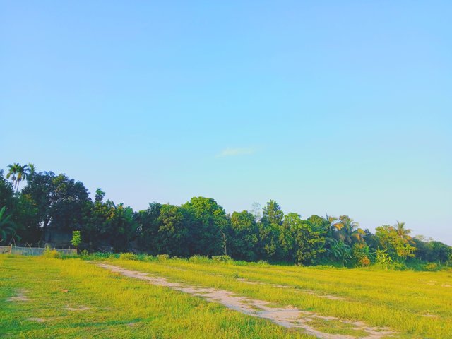 1000582031.jpg