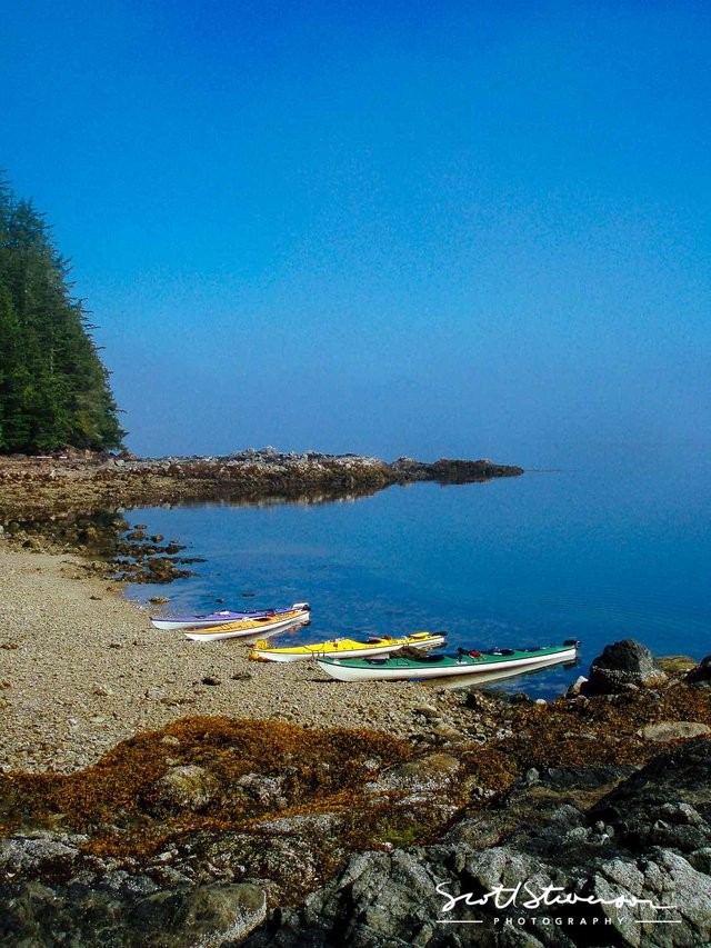 Sea Kayaking-1.jpg