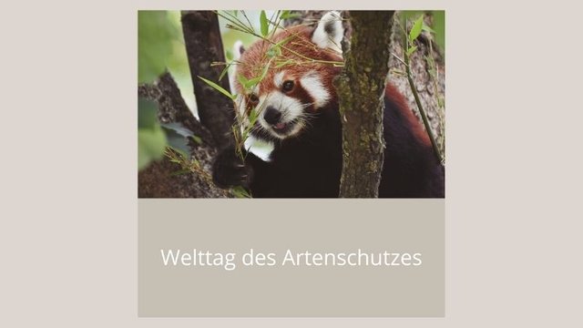 Welttag des Artenschutzes Web.jpg