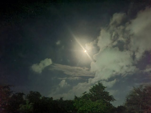 20250730_195626.jpg