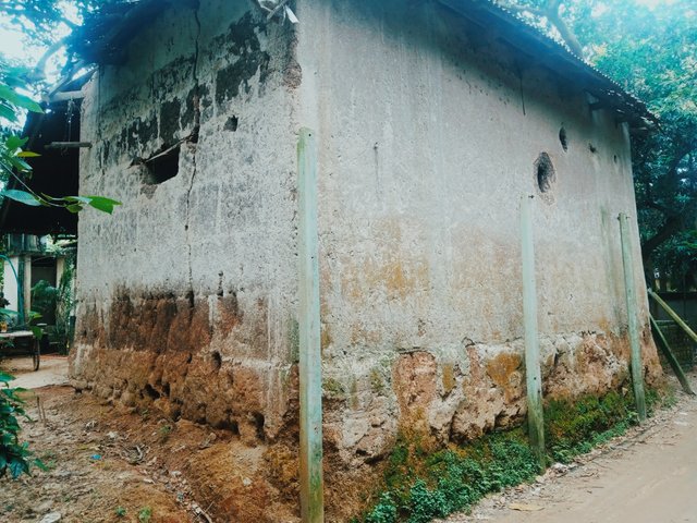 InShot_20250922_192928620.jpg