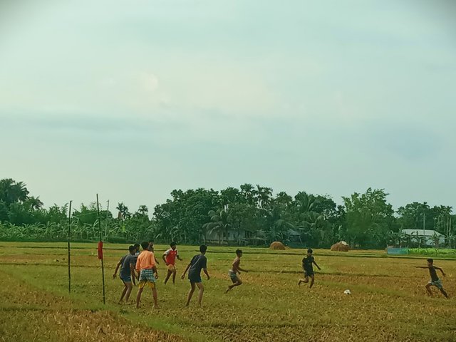 IMG_20250520_202330.jpg