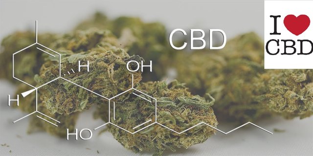 cbd-cannabidiol-in-medical-marijuana-37564-w800.jpg