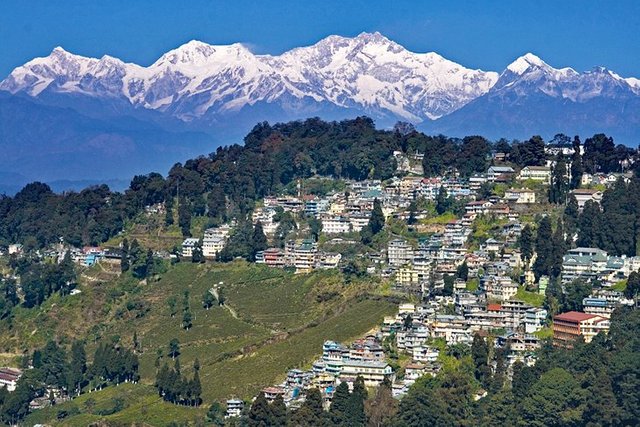 india-best-places-to-visit-darjeeling.jpg